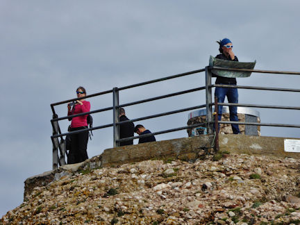 summitn